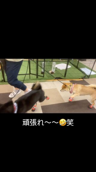 足場買取道場 足場材の高価買取ならお任せください！ – 足場買取